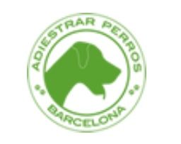 Adiestrar perros Barcelona