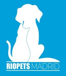 RíoPets mejores peluquerías caninas en Madrid