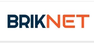 Briknet