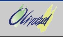 Fincas Olivares