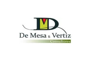 De Mesa y Vertiz Consultores